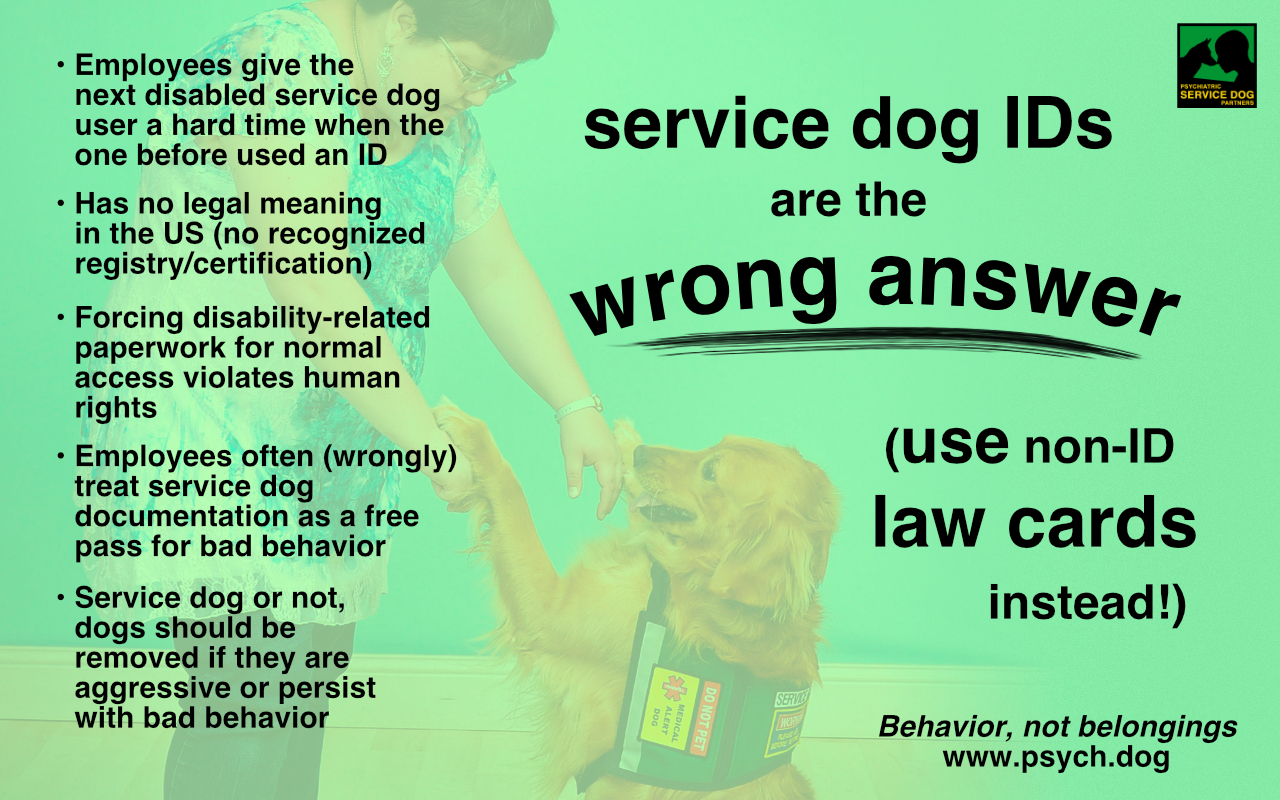 how can i get my dog certified as a service dog