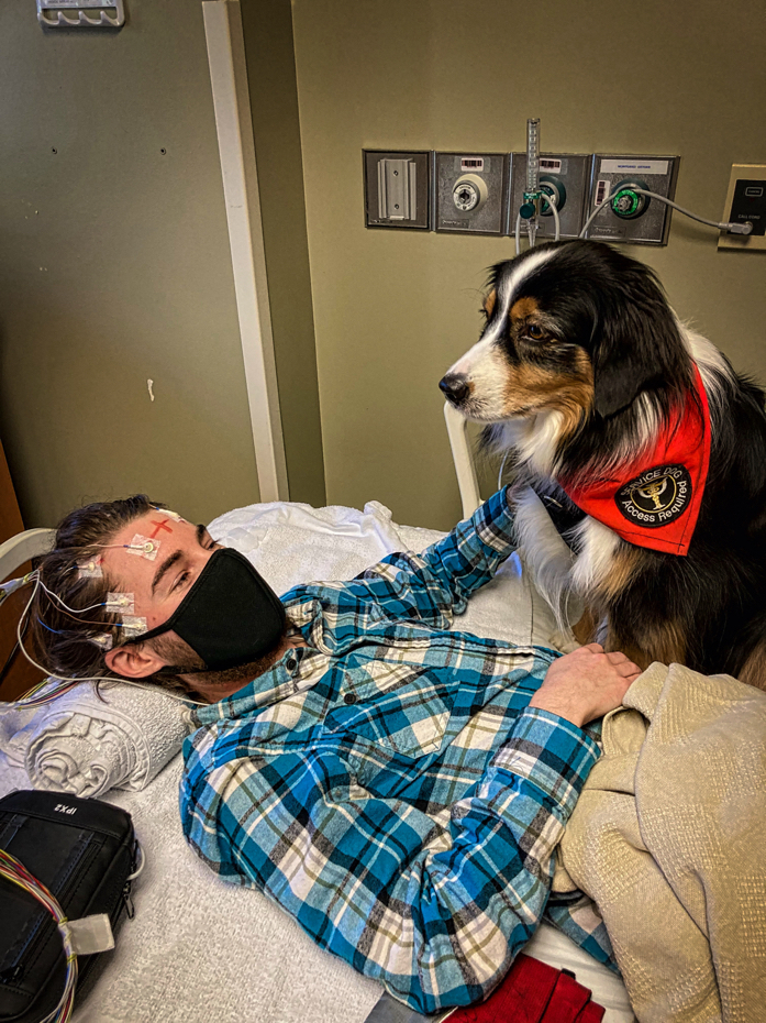 Service shop dog blanket